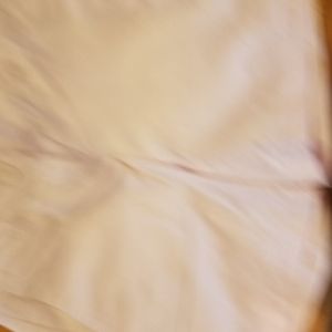 Ann Taylor Loft pink shorts